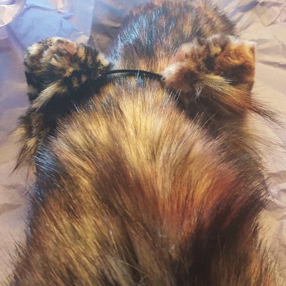 Tortoiseshell kitten ear and tail set.